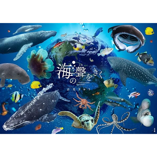 海中顔面大博覧会 | 中村 征夫, 中村 征夫 |本 | 通販 | Amazon